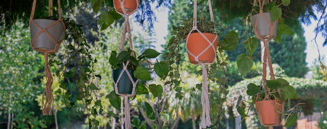 vasos suspensos no teto de um telheiro de um jardim