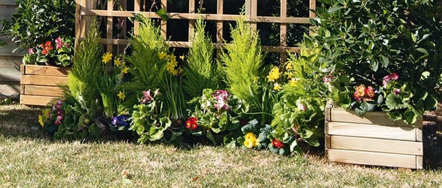 jardim com vasos de madeira com plantas, relva e uma divisória de madeira