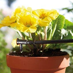 rega gota a gota instalada num vaso de basso com flores plantadas