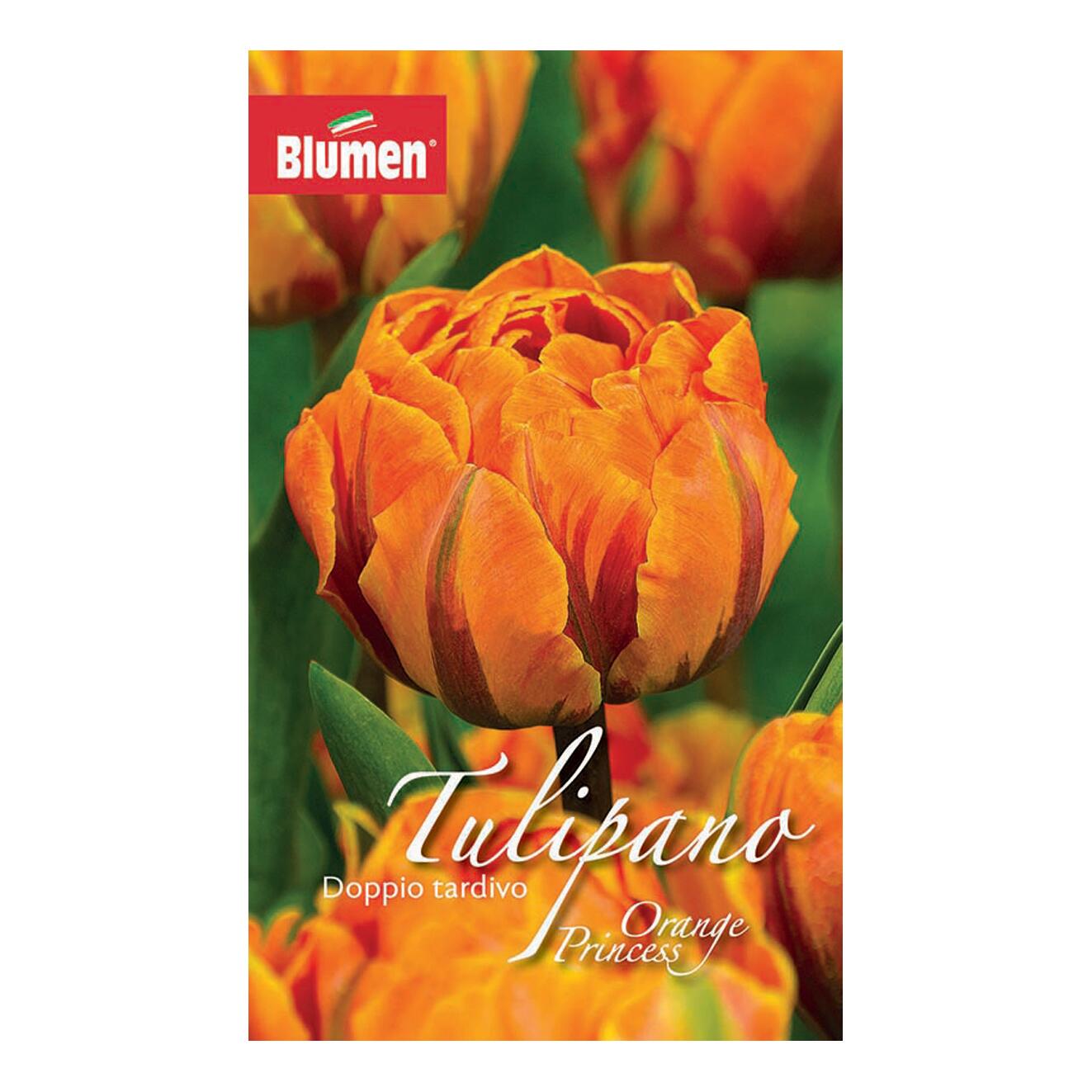 22 Bulbi Di Tulipano Profumati - Fiori Perenni Facili Da Piantare, Ideali Per Giardino E Primavera - Foto 6