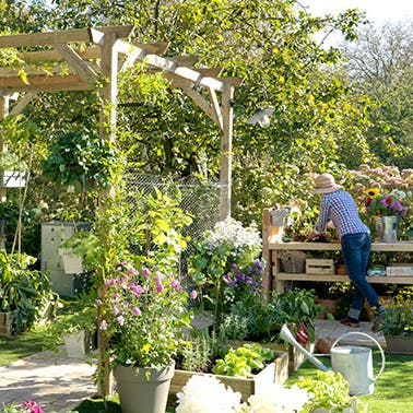 senhora a inspecionar o seu jardim e horta