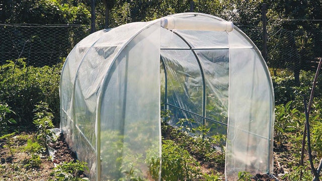 Tutti i tipi di serra che dovresti conoscere prima di acquistare
