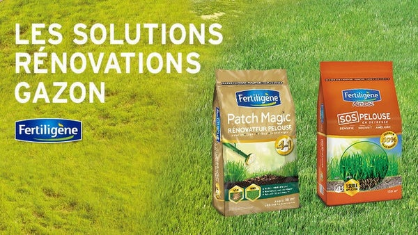 Solutions rénovation gazon