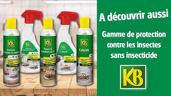 La protection contre les insectes