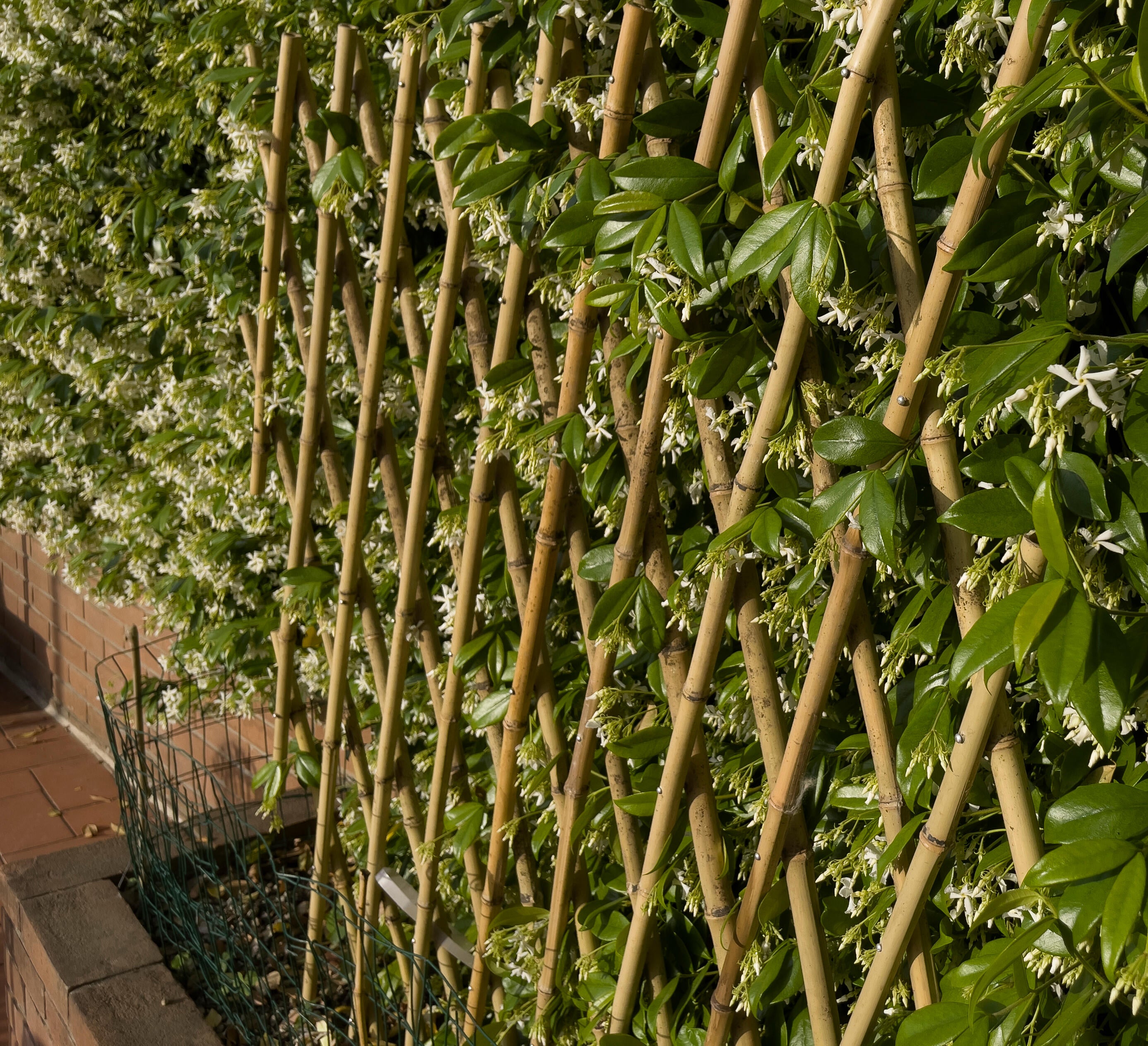 Traliccio estensibile 4F GROUP in bambù naturale L 150 x H 180 cm, Sp 17 mm - 2