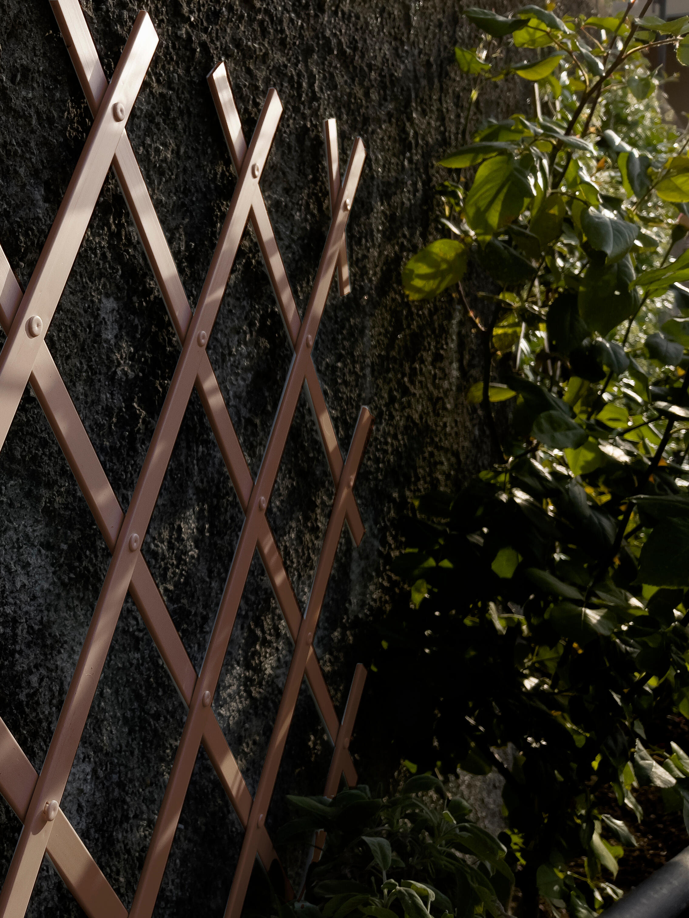 Traliccio estensibile 4F GROUP in PVC marrone scuro L 50 x H 200 cm, Sp 5 mm - 2