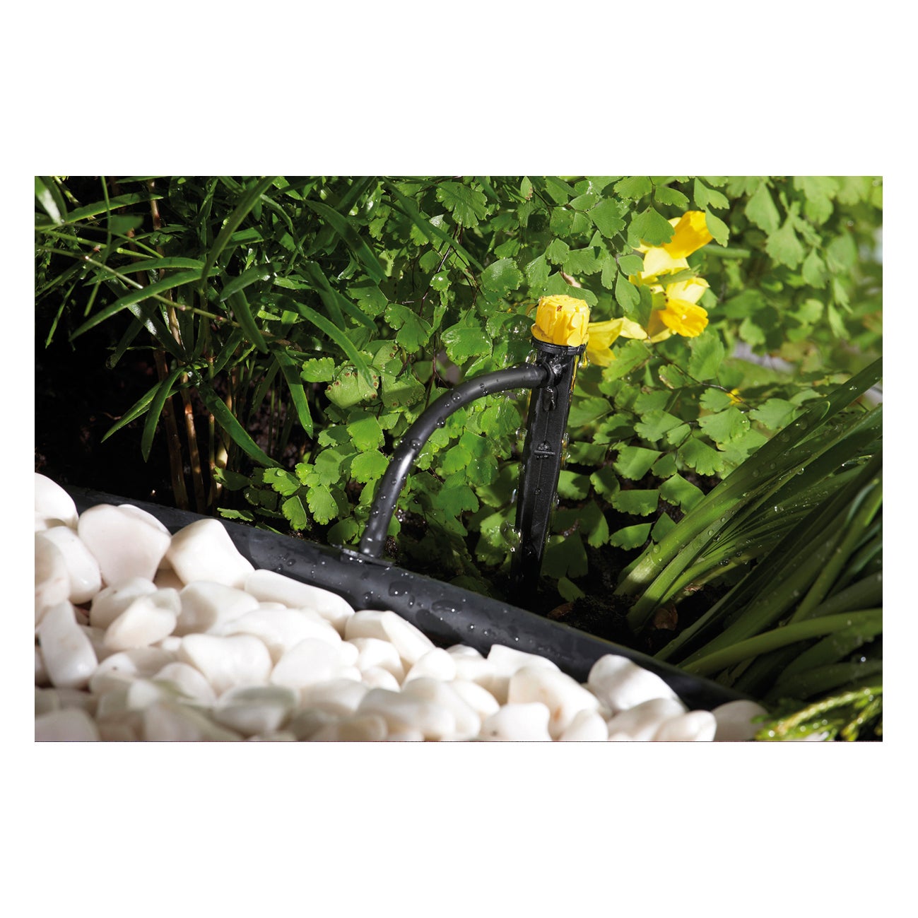 Gocciolatore fine linea regolatore di flusso per superfici circolari in polipropilene GEOLIA GEO8227-10 60 l/h - 3