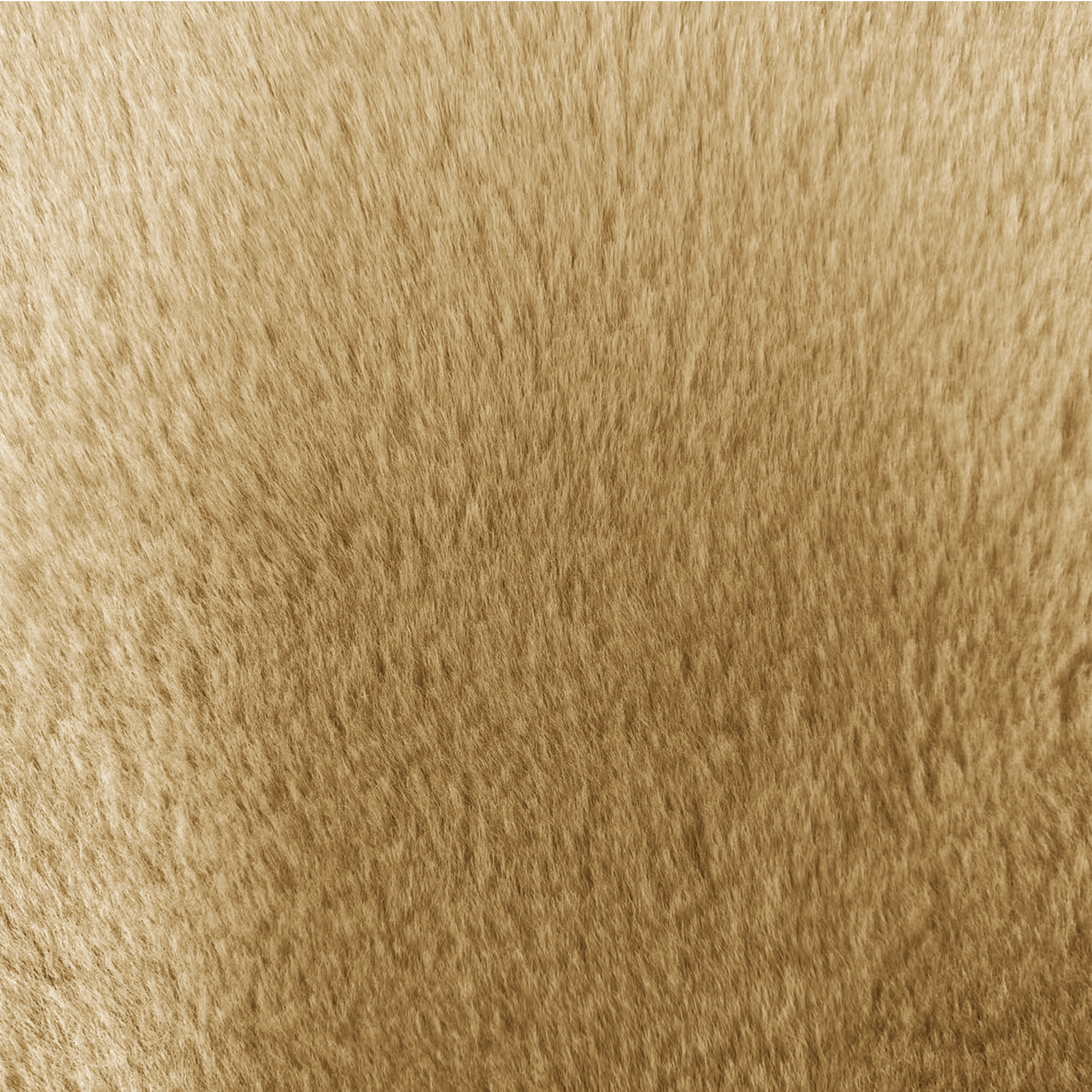 Plaid Enalie, jaune l.130 x L.180 cm INSPIRE - 2