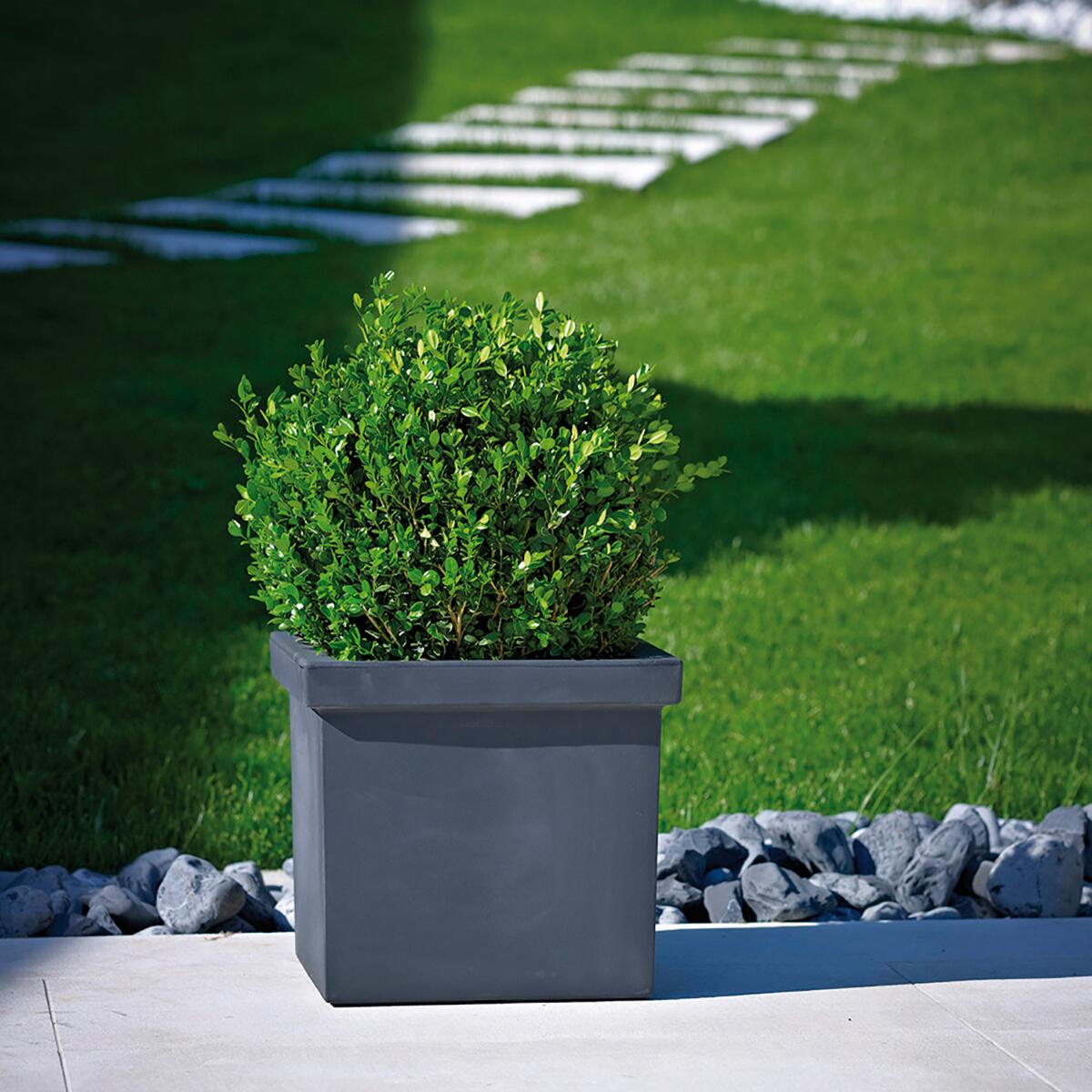 Fioriera Siepi EURO3PLAST in polietilene nero H 41 x L 47 x P 47 cm - 2