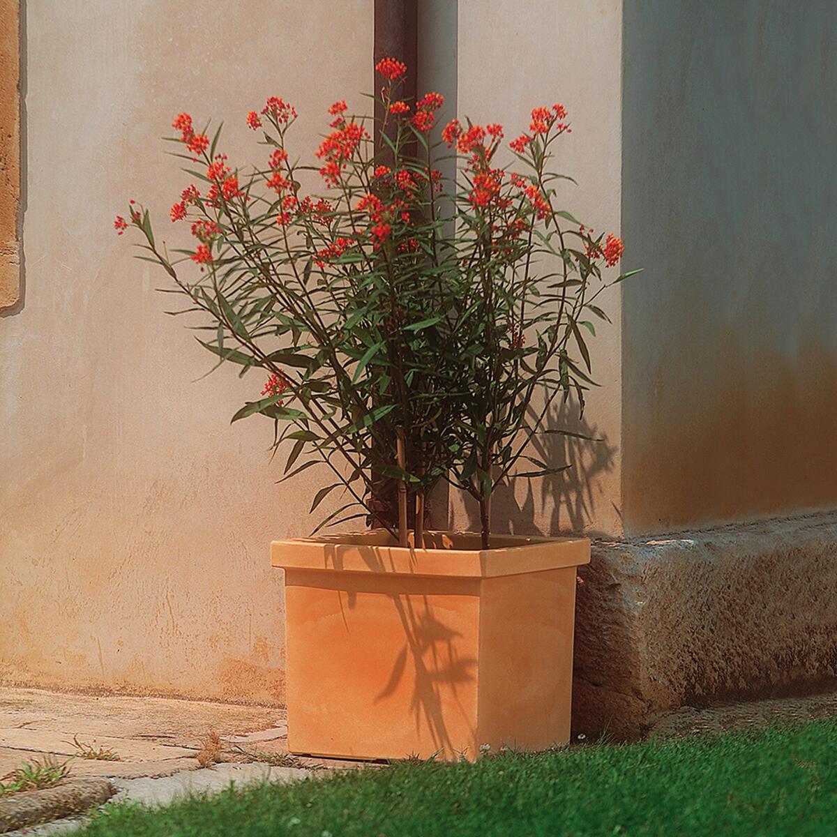 Vaso Siepi EURO3PLAST in polietilene rame H 41 x L 47 x P 47 cm - 2