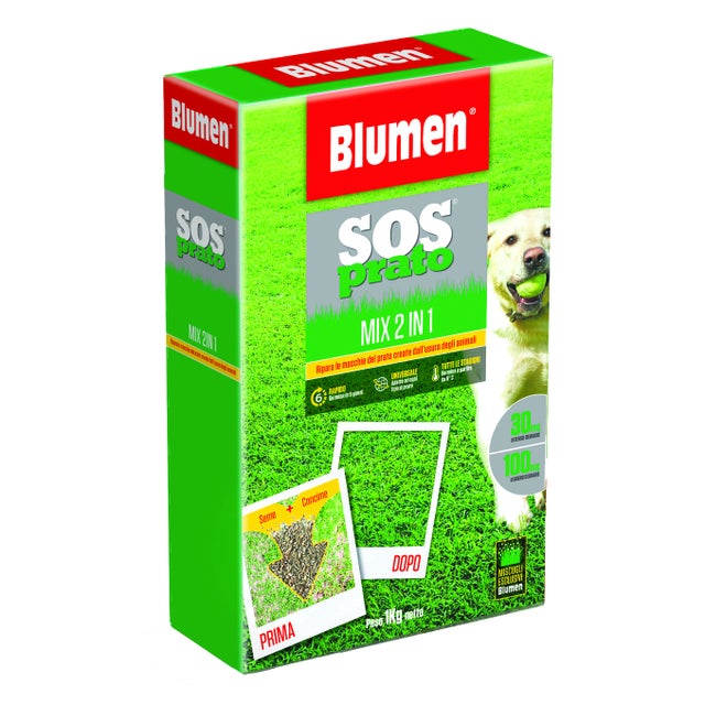 Seme per prato BLUMEN Rigenerante 1 kg