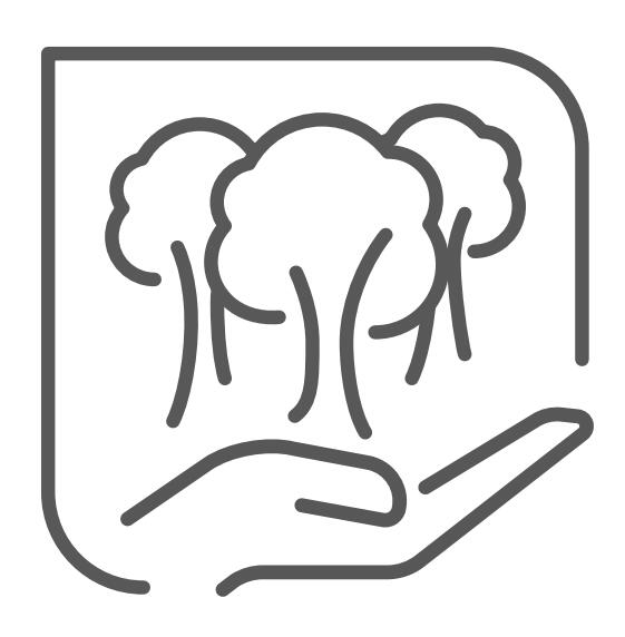 madeira responsável - 3