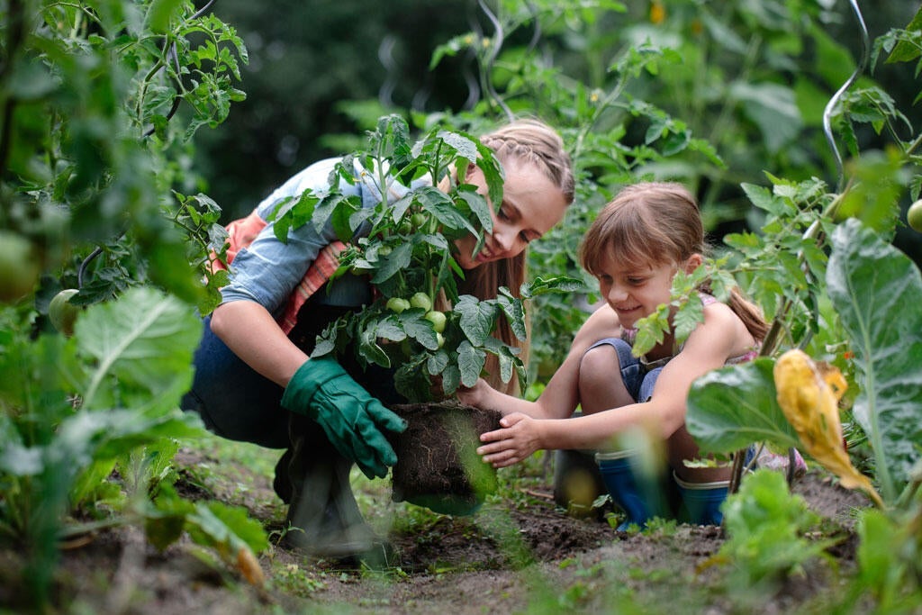 6 systèmes d'arrosage pour le jardin – Jardiner Malin