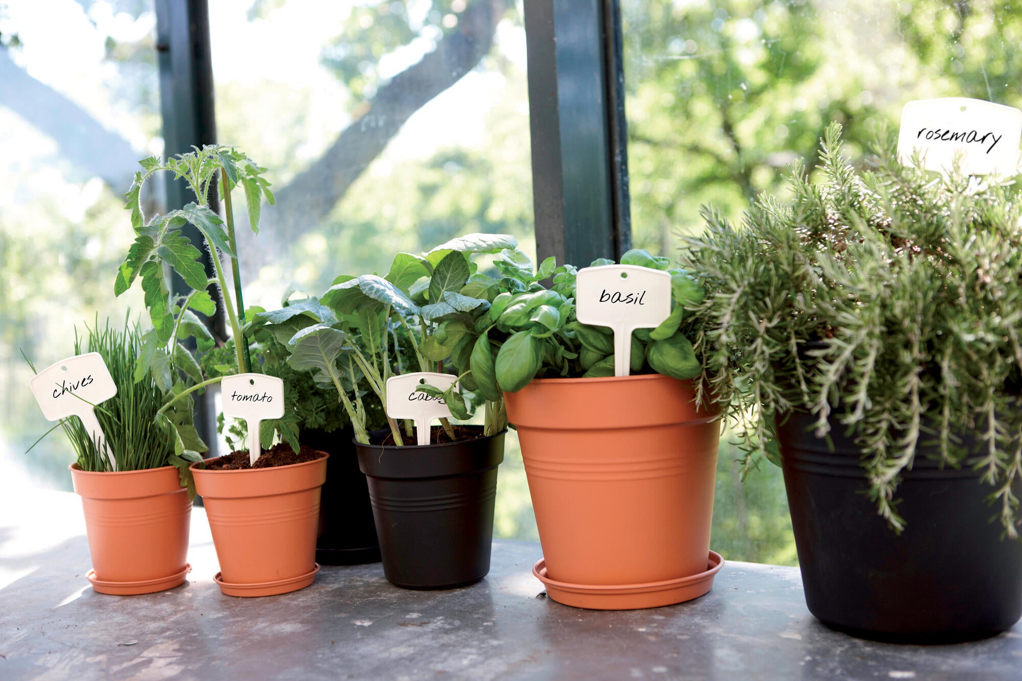 Vaso Basics Growpot ELHO in polipropilene terracotta H 12 x ø 13 cm - 5