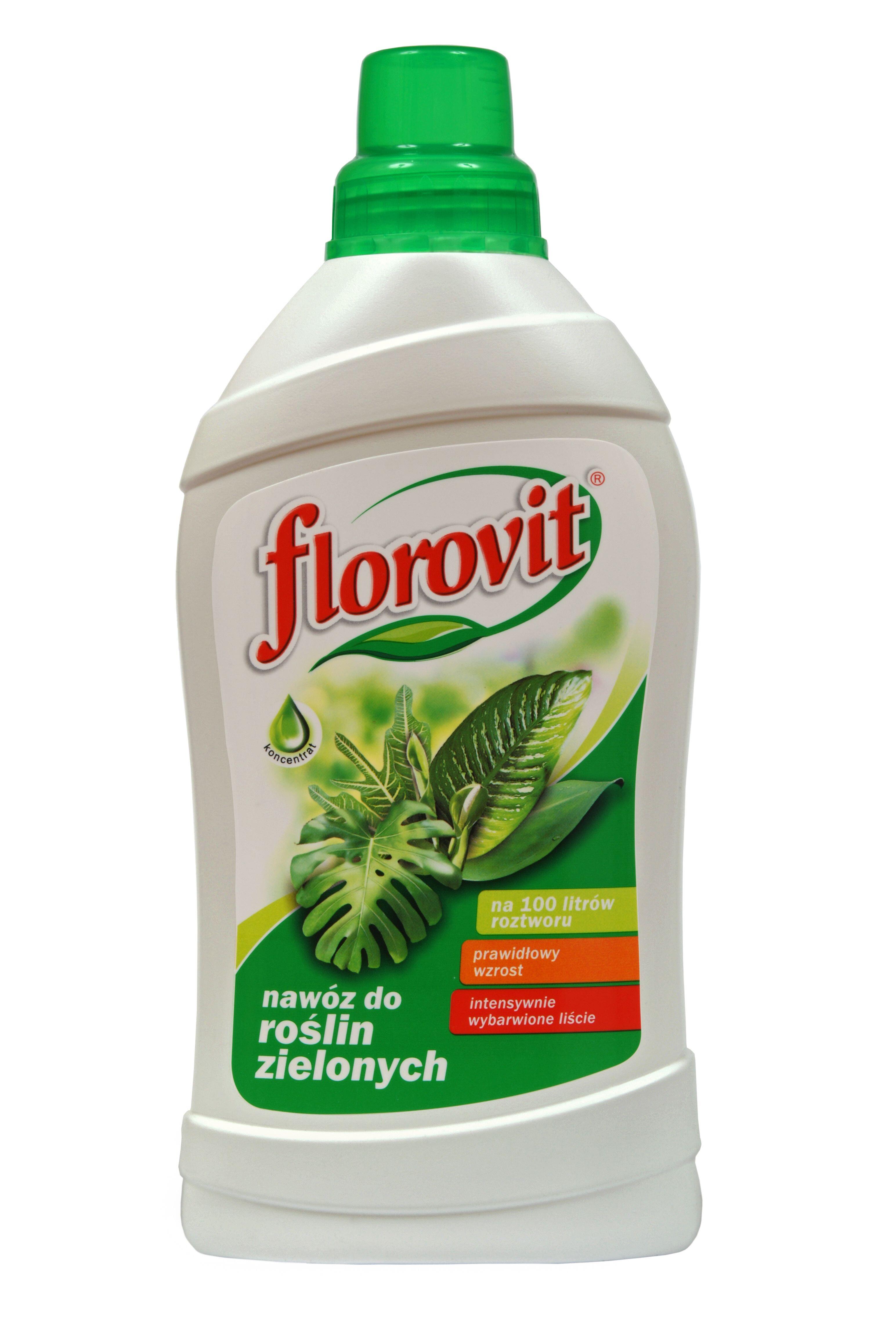 Nawóz do roślin zielonych 1l Florovit - 2