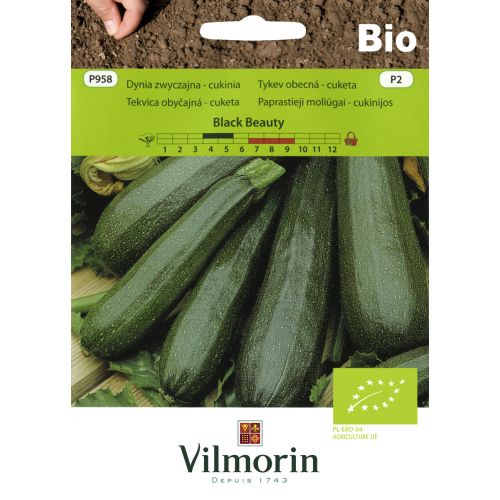 Dynia zwyczajna Cukinia Bio Beauty nasiona ekologiczne Vilmorin