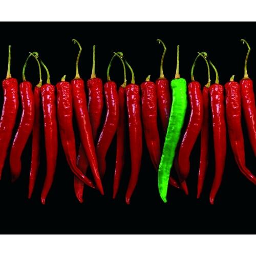 Panel kuchenny szklany chilli 2 z 3 Dubiel Vitrum
