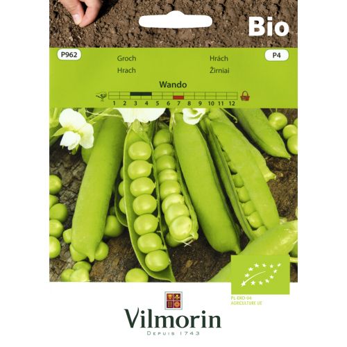Groch Bio Wando nasiona ekologiczne 30g Vilmorin