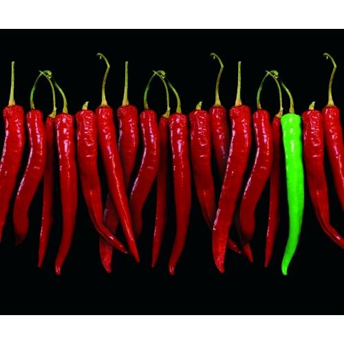 Panel kuchenny szklany chilli 3 z 3 Dubiel Vitrum