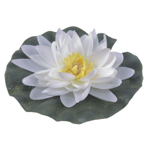 Lilia wodna do oczka wodnego 15x15 cm biała Greenmill