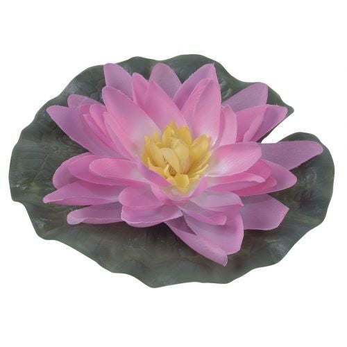 Lilia wodna do oczka wodnego 15x15 cm różowa Greenmill