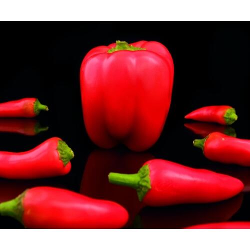 Panel kuchenny szklany papryka duża 2 z 3 Dubiel Vitrum