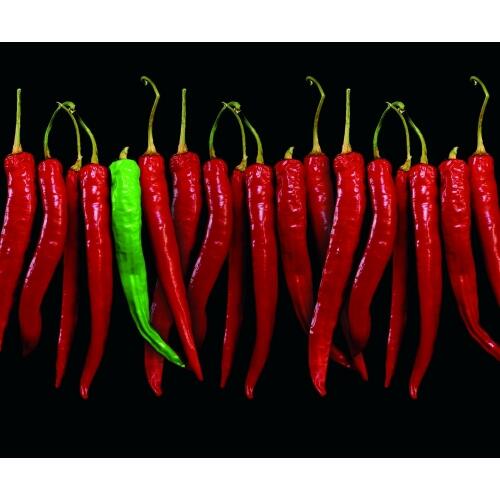 Panel kuchenny szklany chilli 1 z 3 Dubiel Vitrum