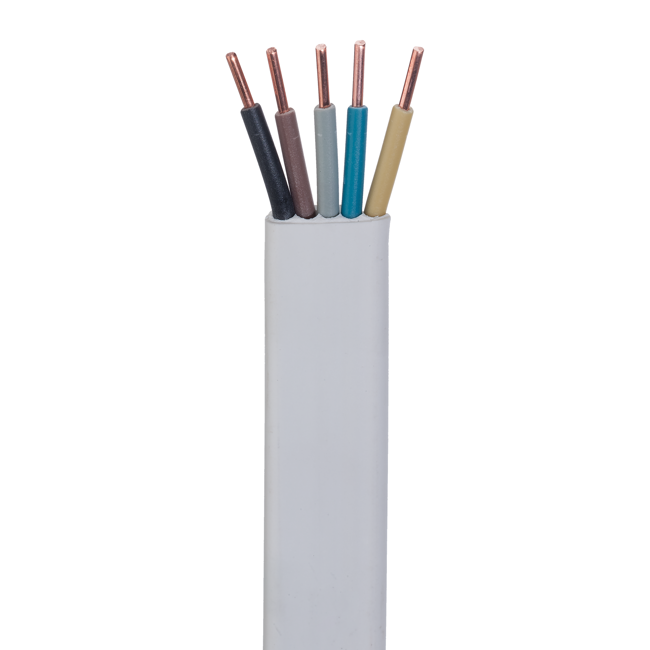 Przewód elektryczny YDYP 5 X 2.5 450 / 750V AKS ZIELONKA