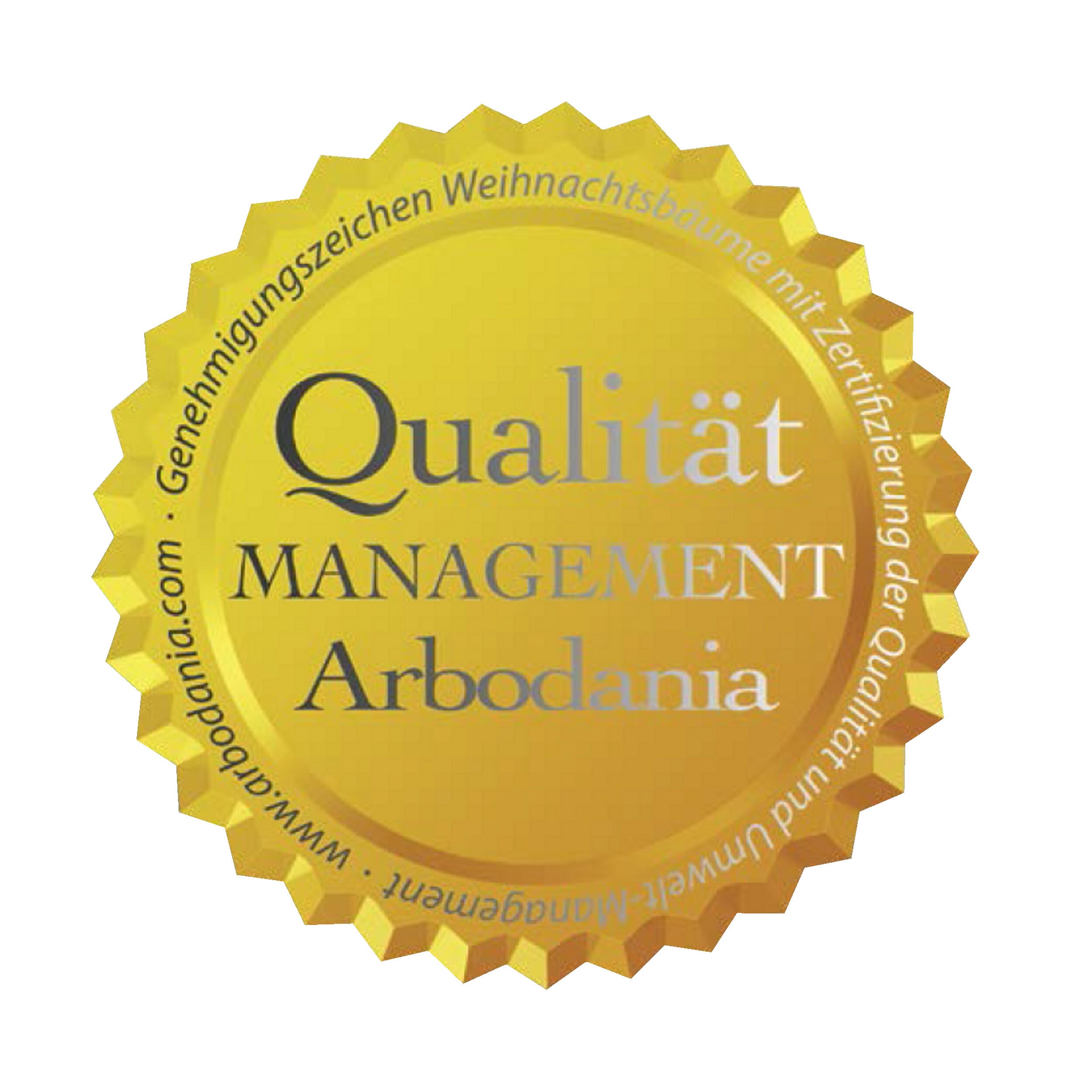 Jodła kaukaska 225-250cm choinka żywa cięta - 6