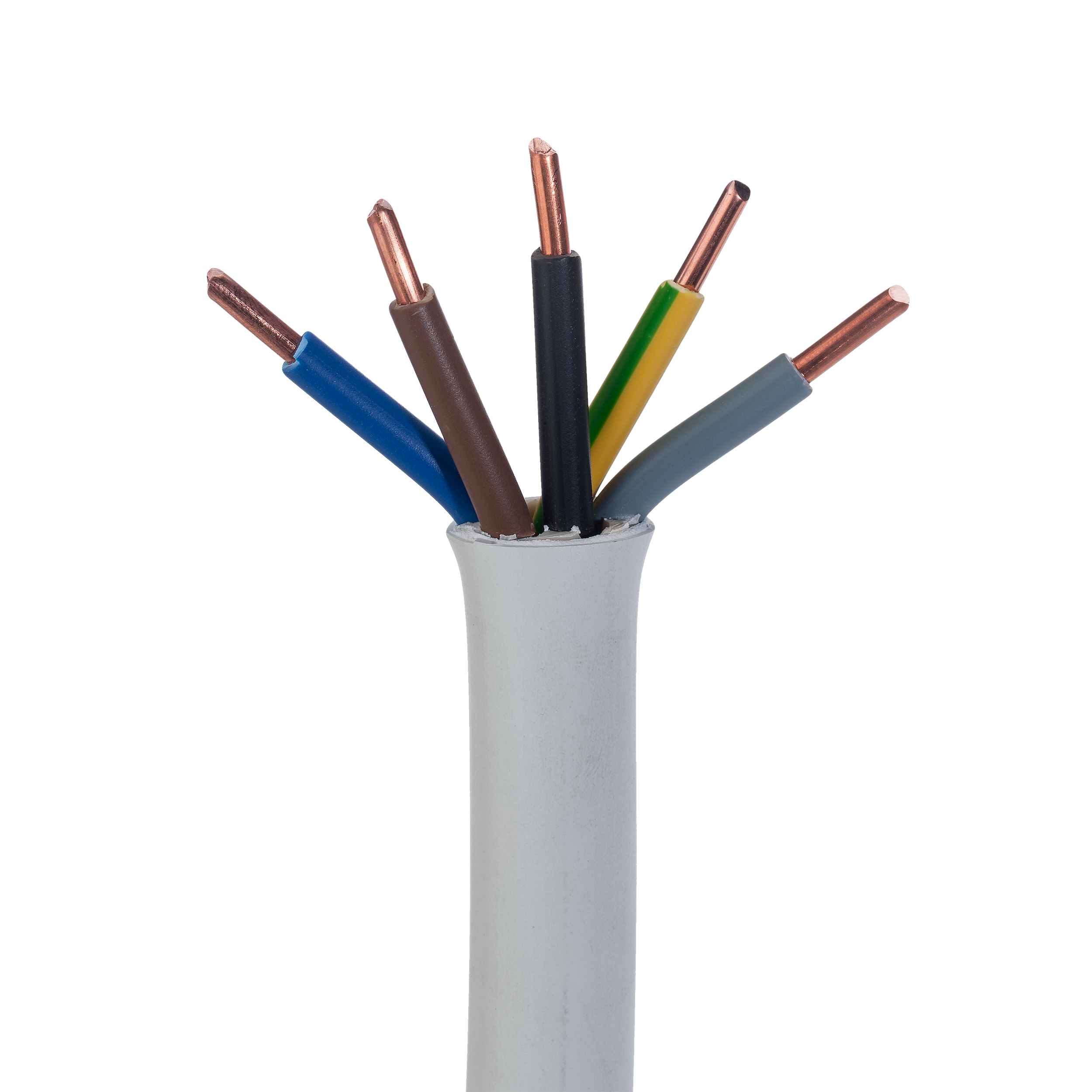 Przewód elektryczny YDY 5 X 6 450 / 750V AKS ZIELONKA
