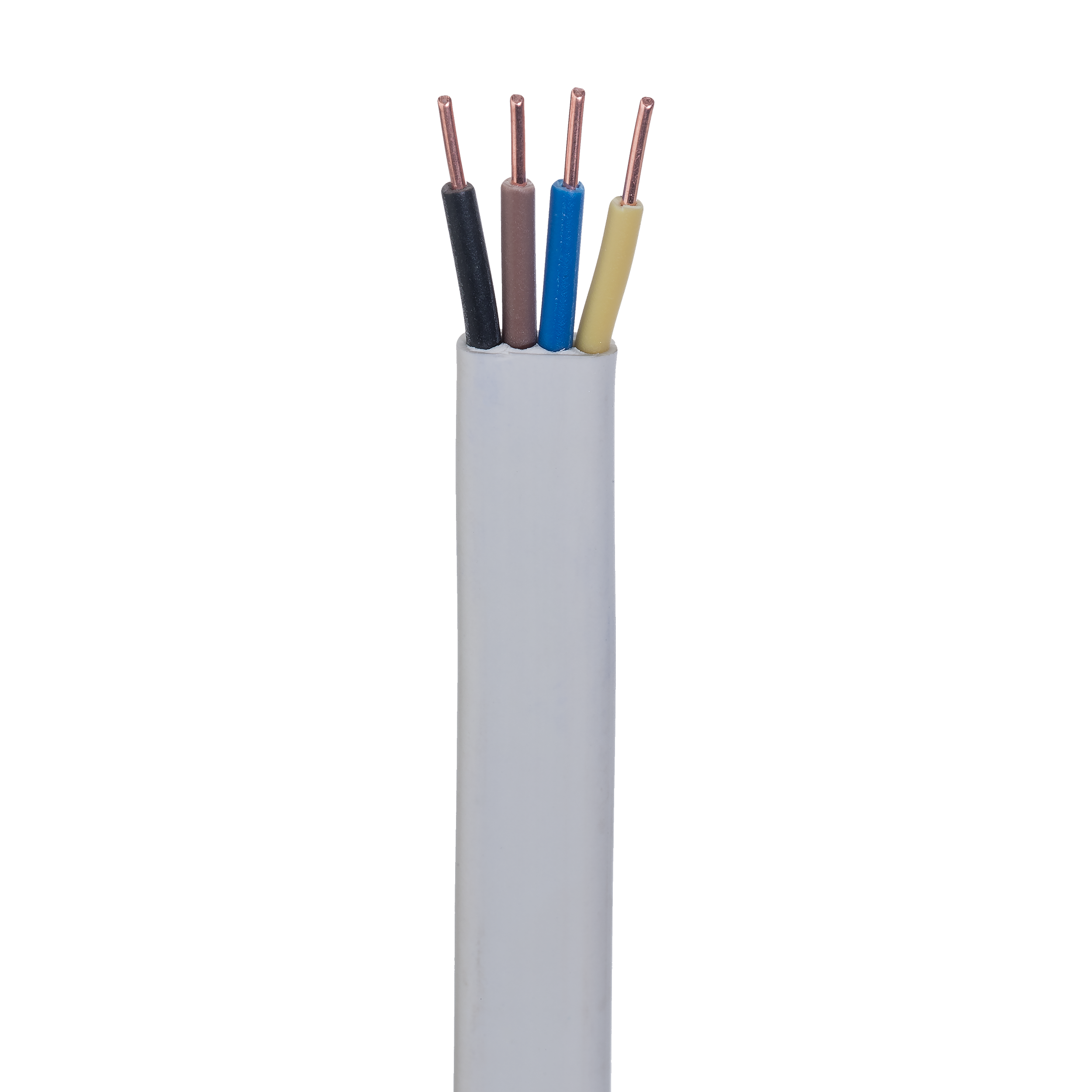 Przewód elektryczny YDYP 4X1.5 450 / 750V AKS ZIELONKA