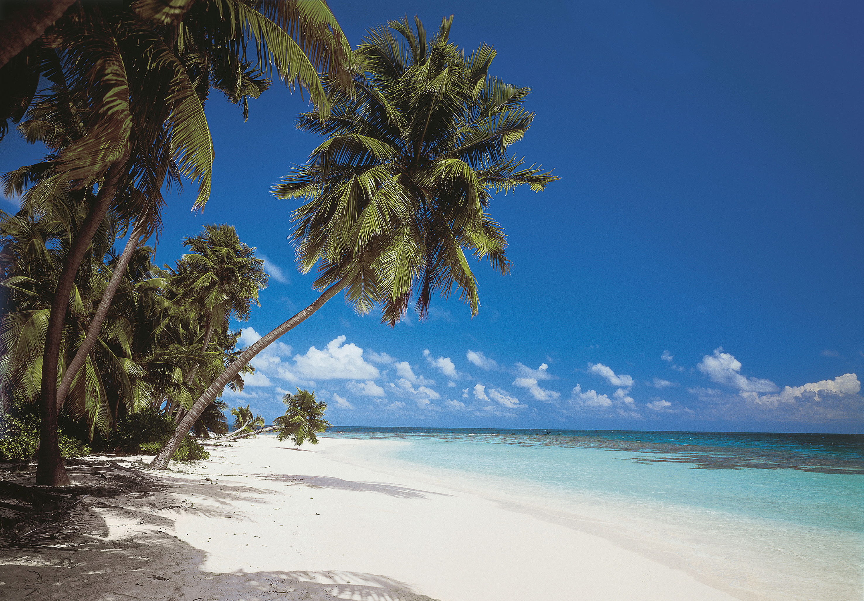 Fototapeta Maldives 388 x 270 cm Komar