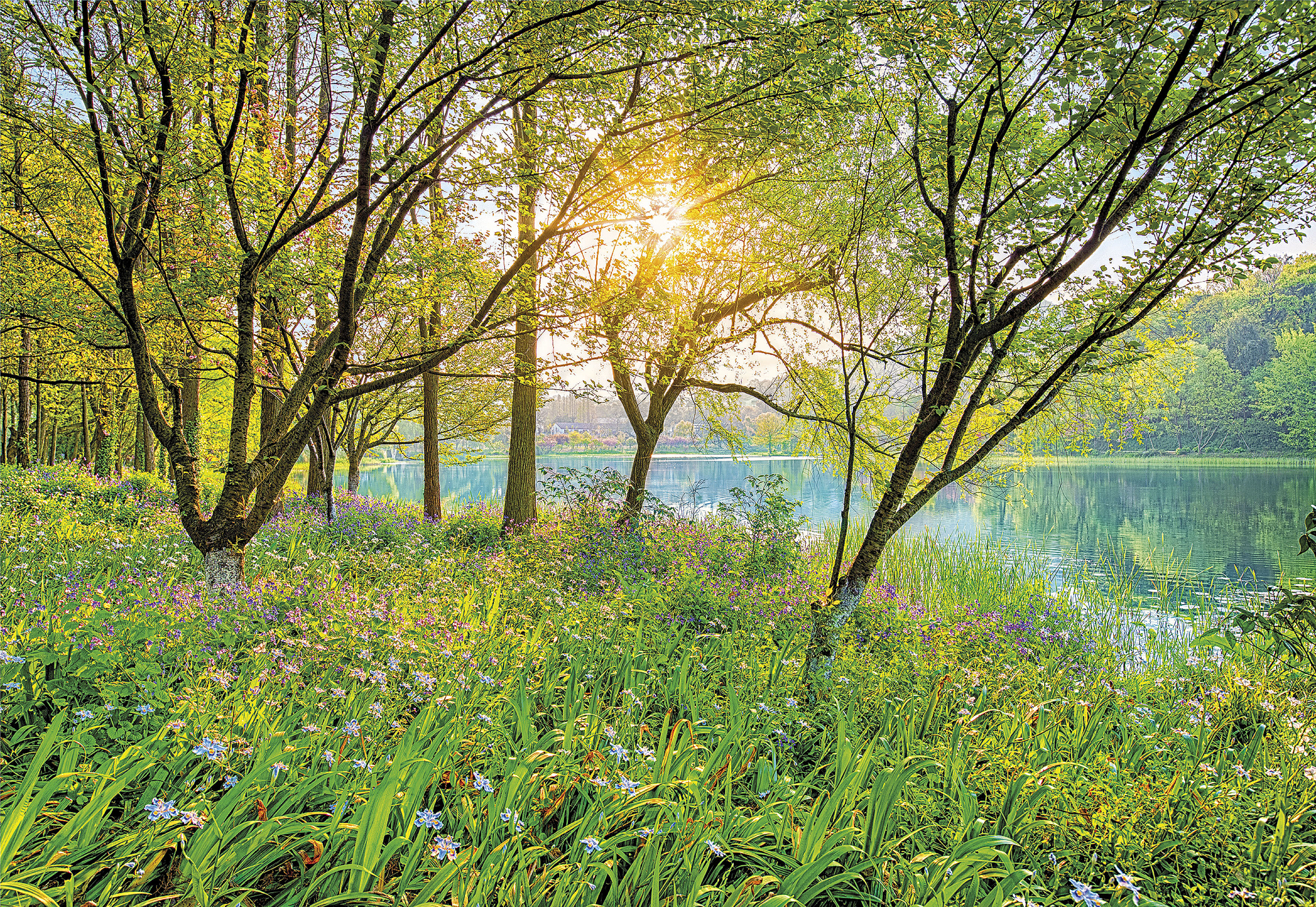 Fototapeta Spring Lake 368 x 254 cm Komar