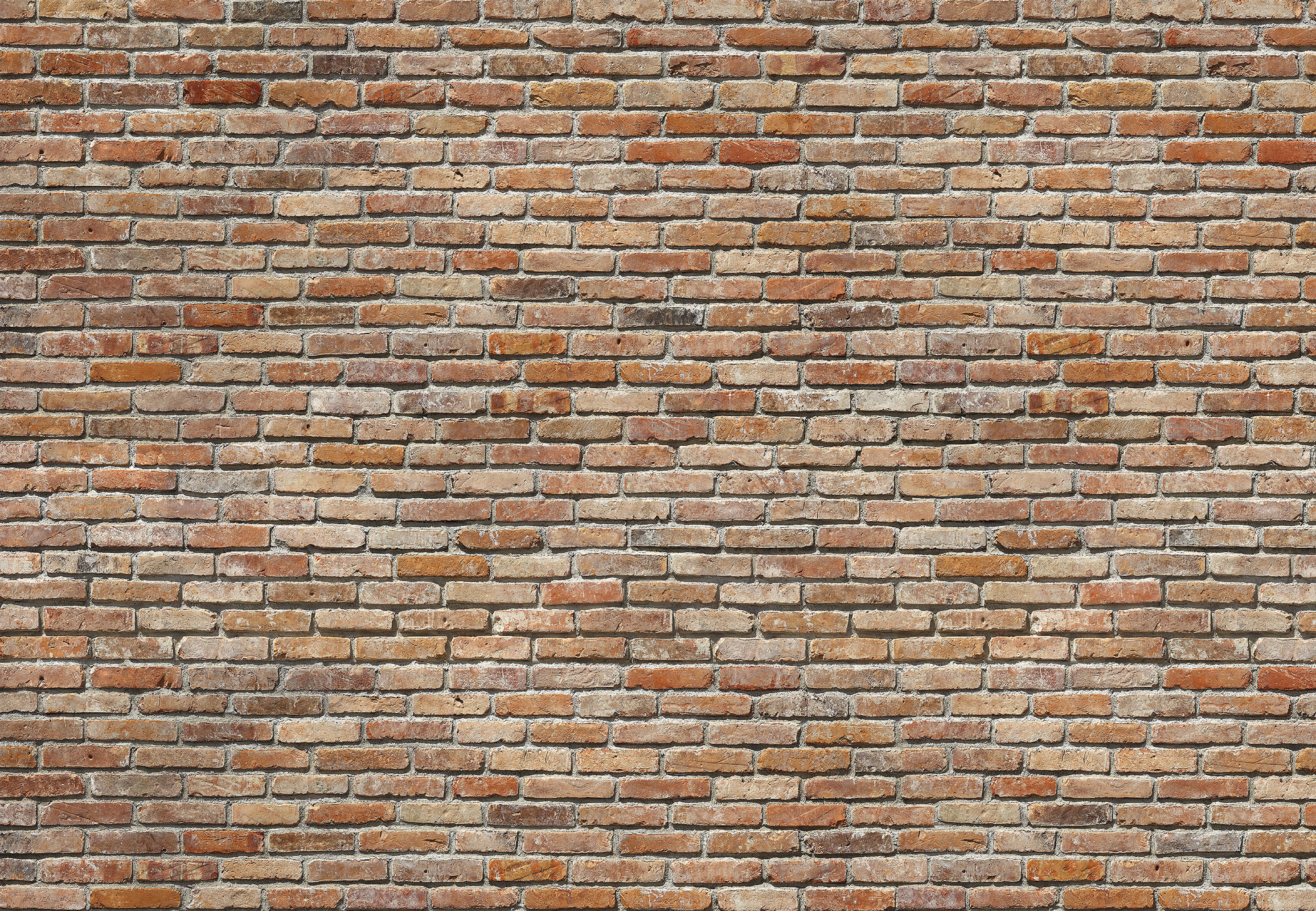 Fototapeta Backstein 368 x 254 cm Komar