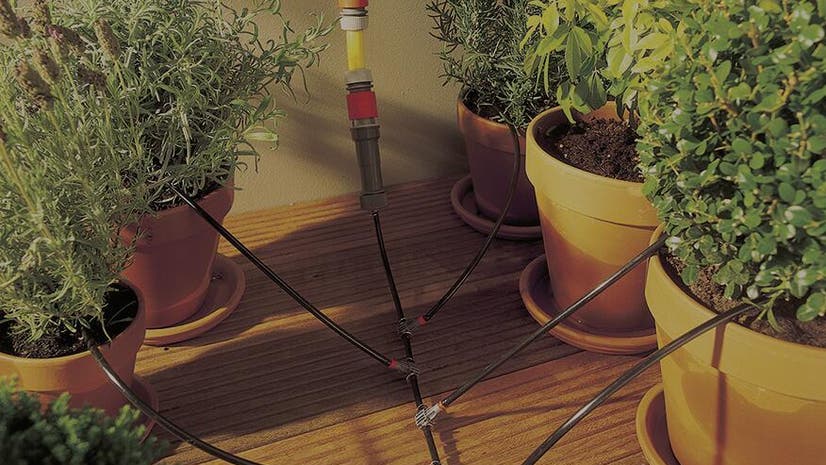 Come si sceglie l'irrigatore automatico per il giardino