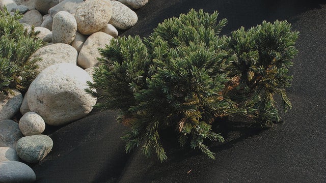 Come scegliere teli per la pacciamatura e la protezione delle piante