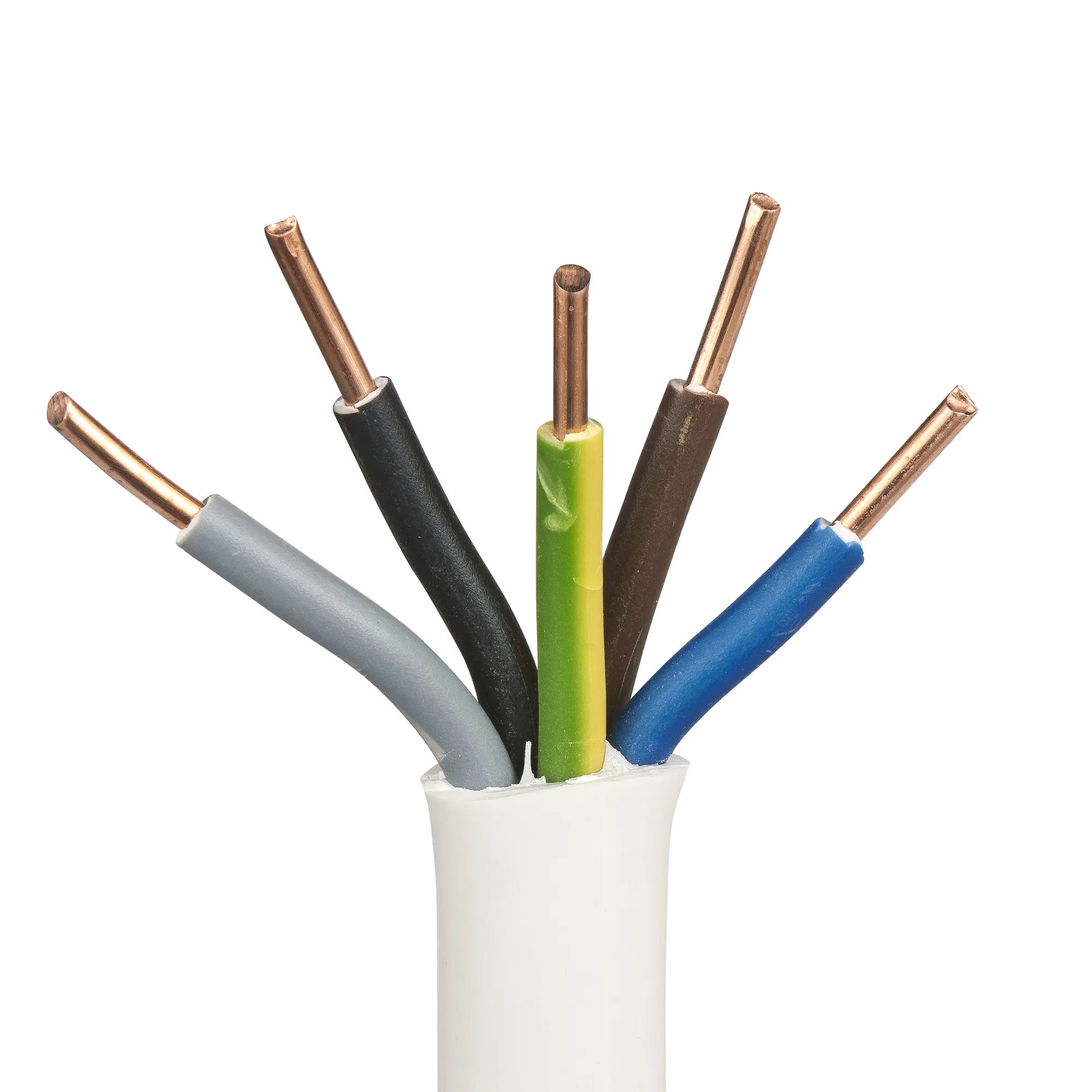 Przew d Elektryczny YDY 5 X 2 50 450 750V AKS ZIELONKA Leroy Merlin przew-d-elektryczny-ydy-5-x-2-50-450-750v-aks-zielonka-leroy-merlin