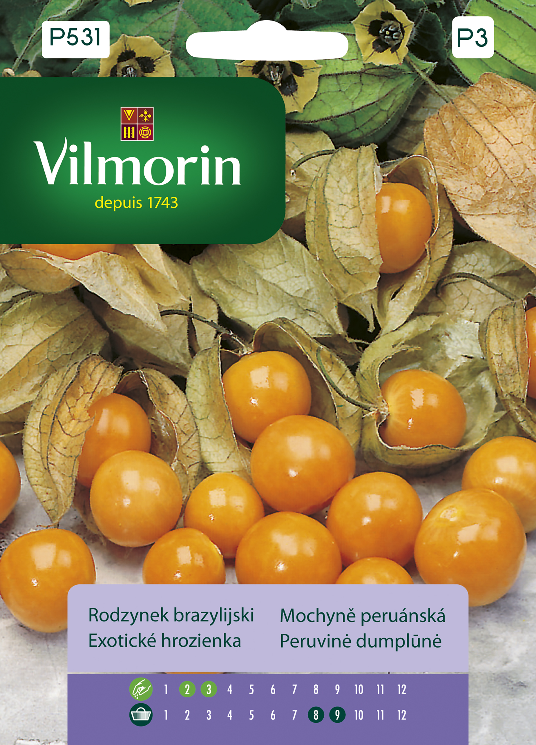 Rodzynek brazylijski Miechunka nasiona Vilmorin