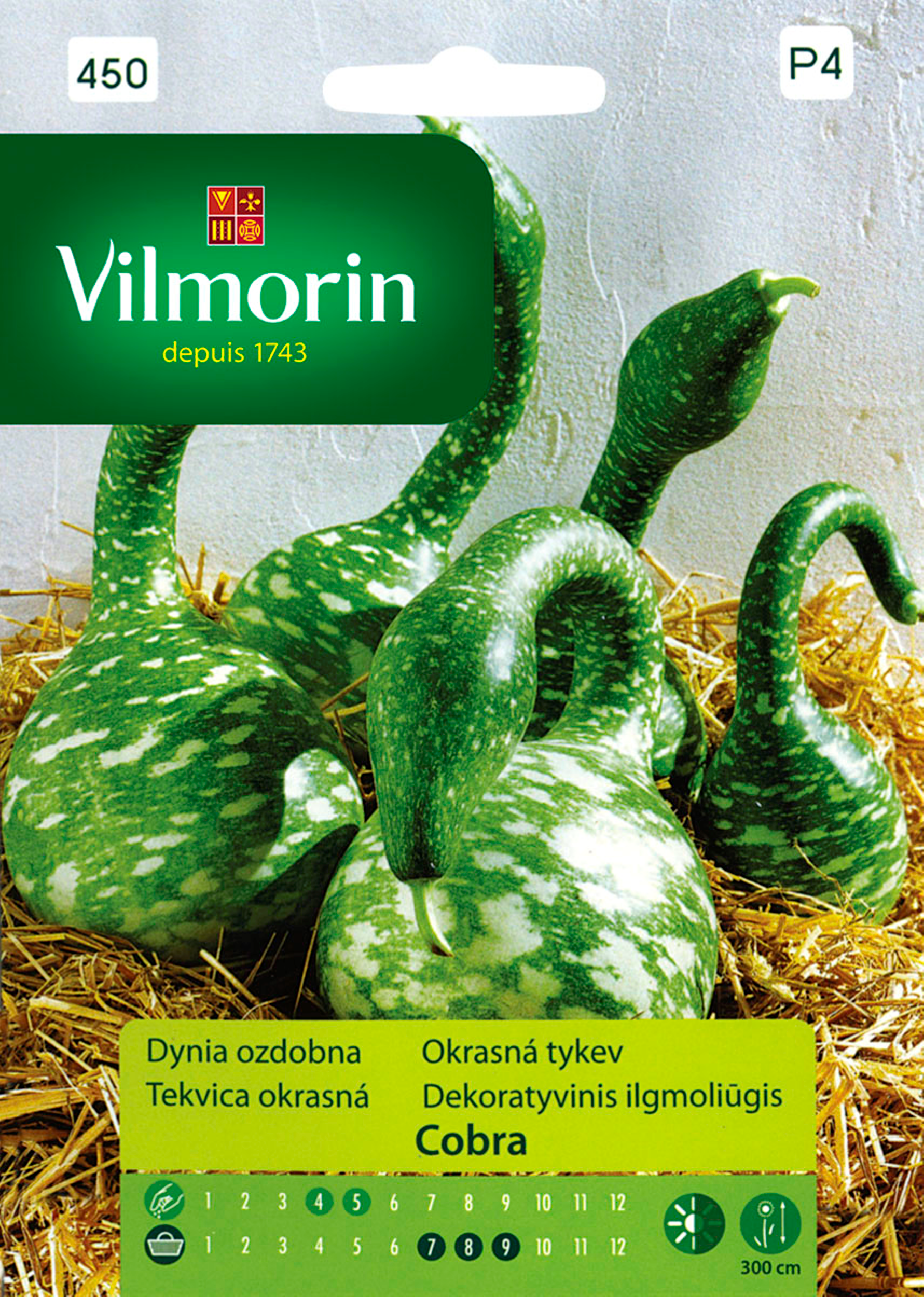 Dynia ozdobna Cobra nasiona Vilmorin