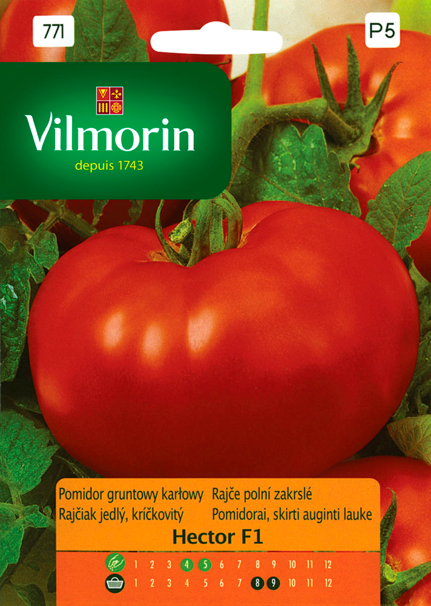 Pomidor gruntowy karłowy Hector F1 nasiona Vilmorin