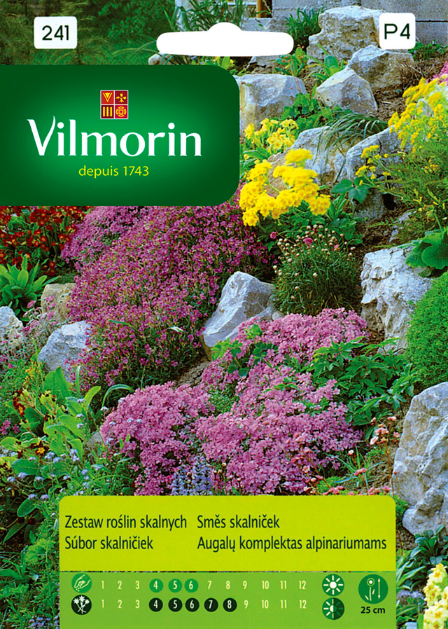 Zestaw roślin skalnych nasiona tradycyjne Vilmorin