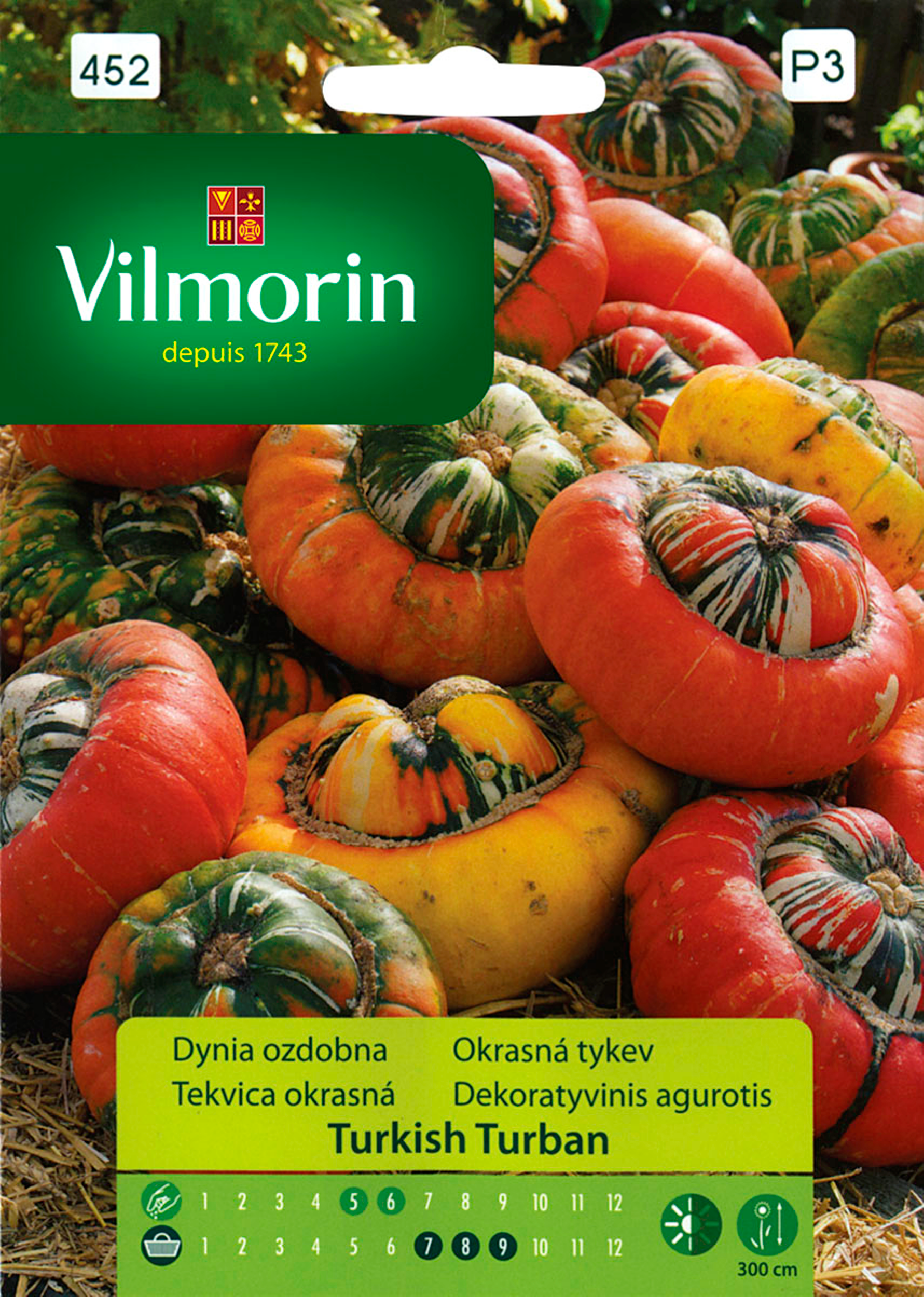 Dynia ozdobna Turkish Turban nasiona Vilmorin