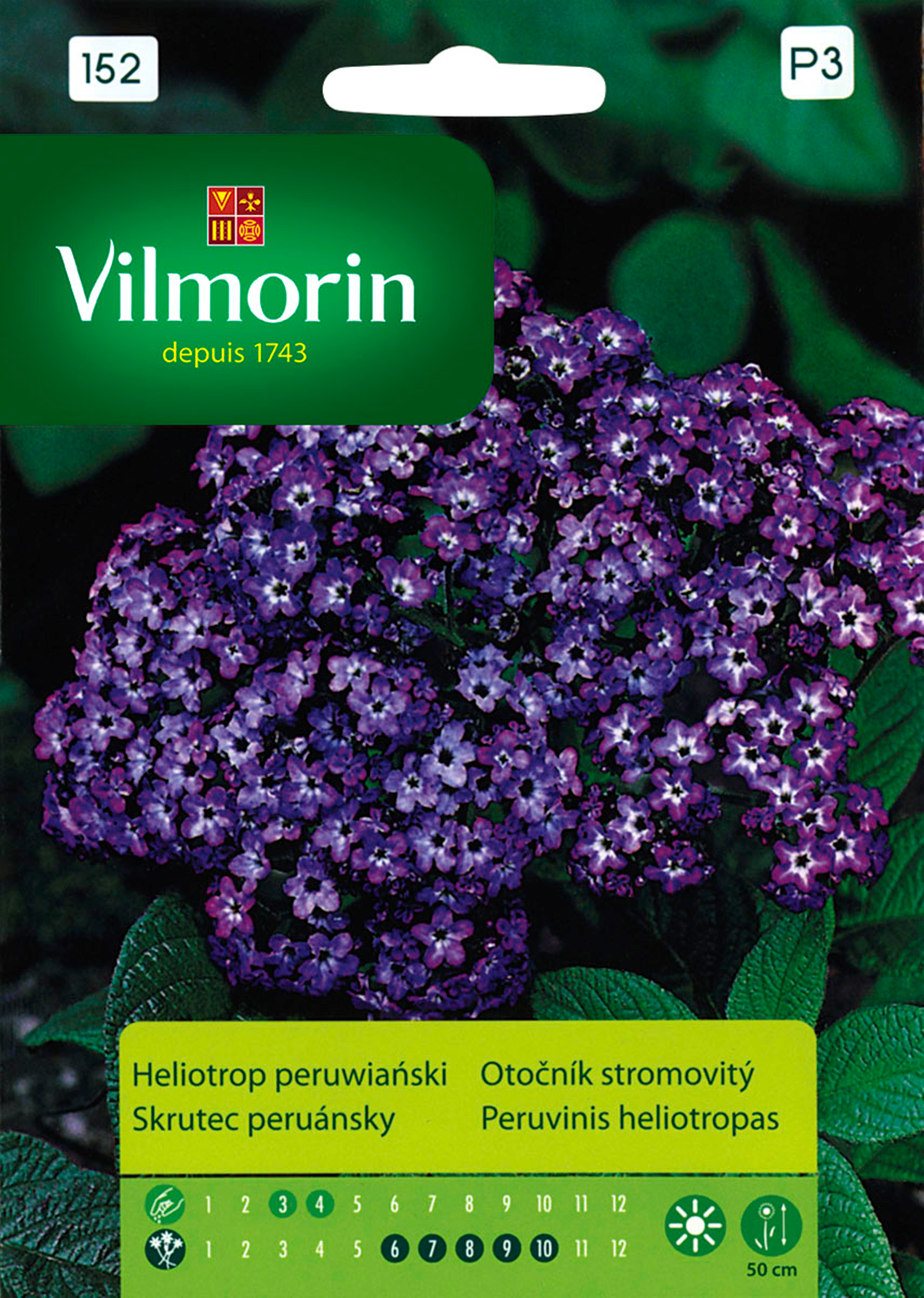 Heliotrop peruwiański nasiona tradycyjne Vilmorin