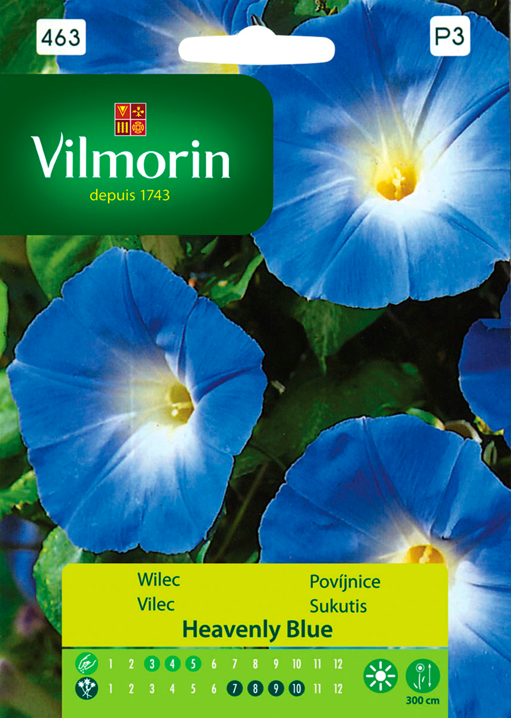 Wilec Ipomoea Heavenly Blue nasiona tradycyjne Vilmorin