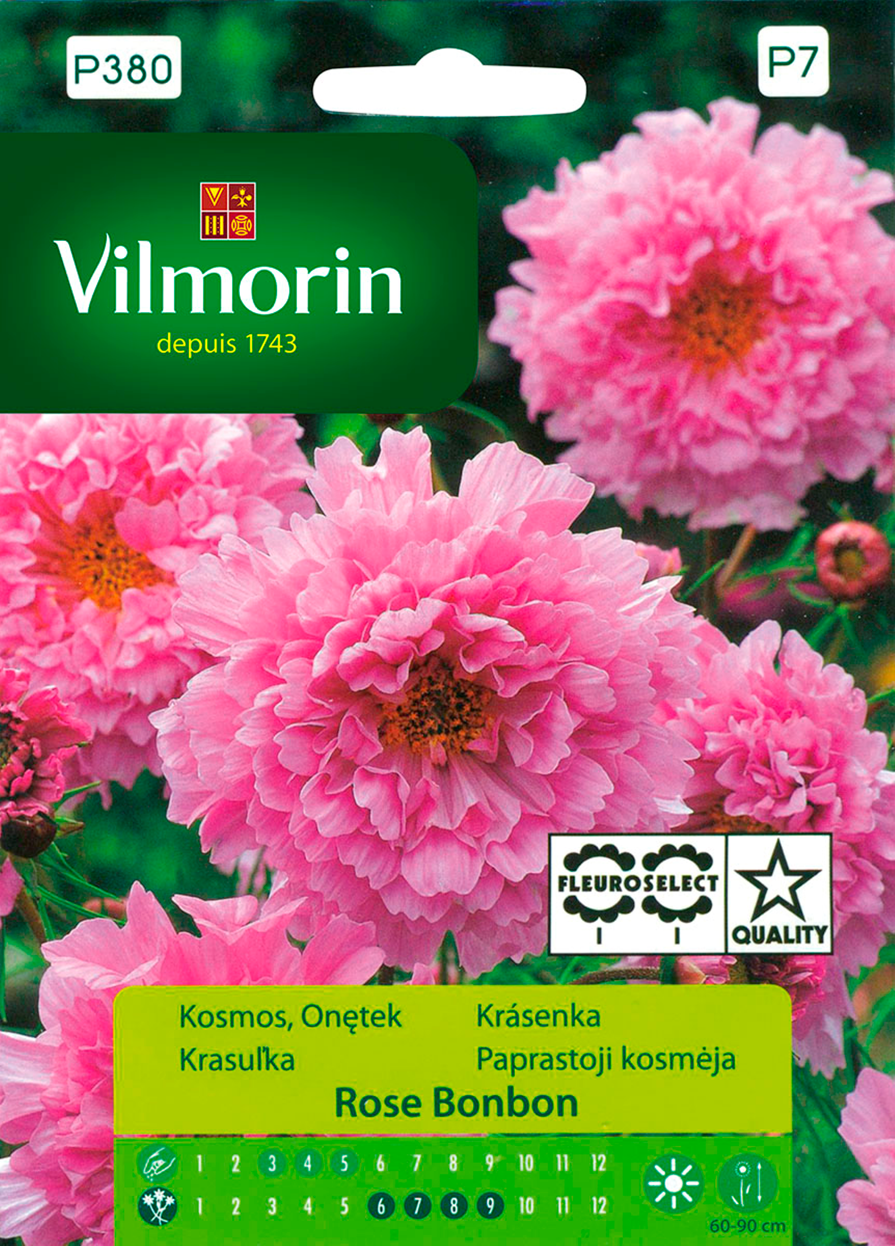 Kosmos Rose bonbon nasiona tradycyjne Vilmorin