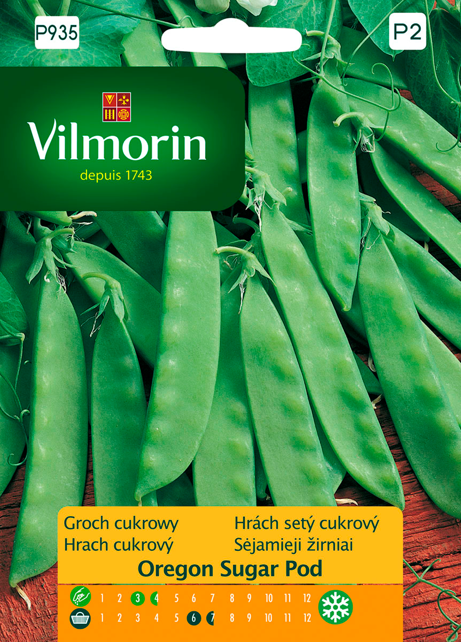 Groch siewny cukrowy Oregon Sugar nasiona 40g Vilmorin