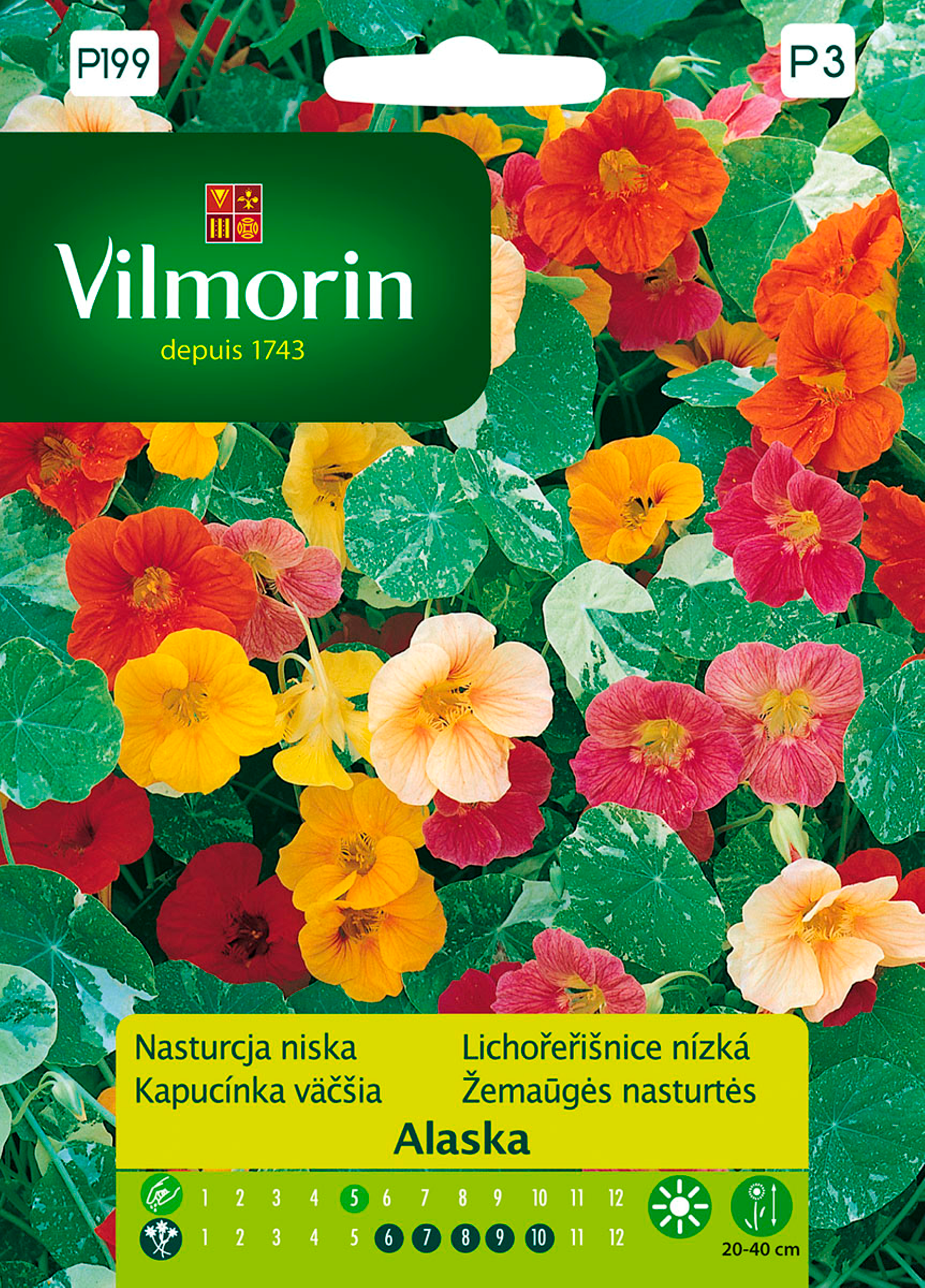 Nasturcja niska Alaska mix nasiona tradycyjne Vilmorin