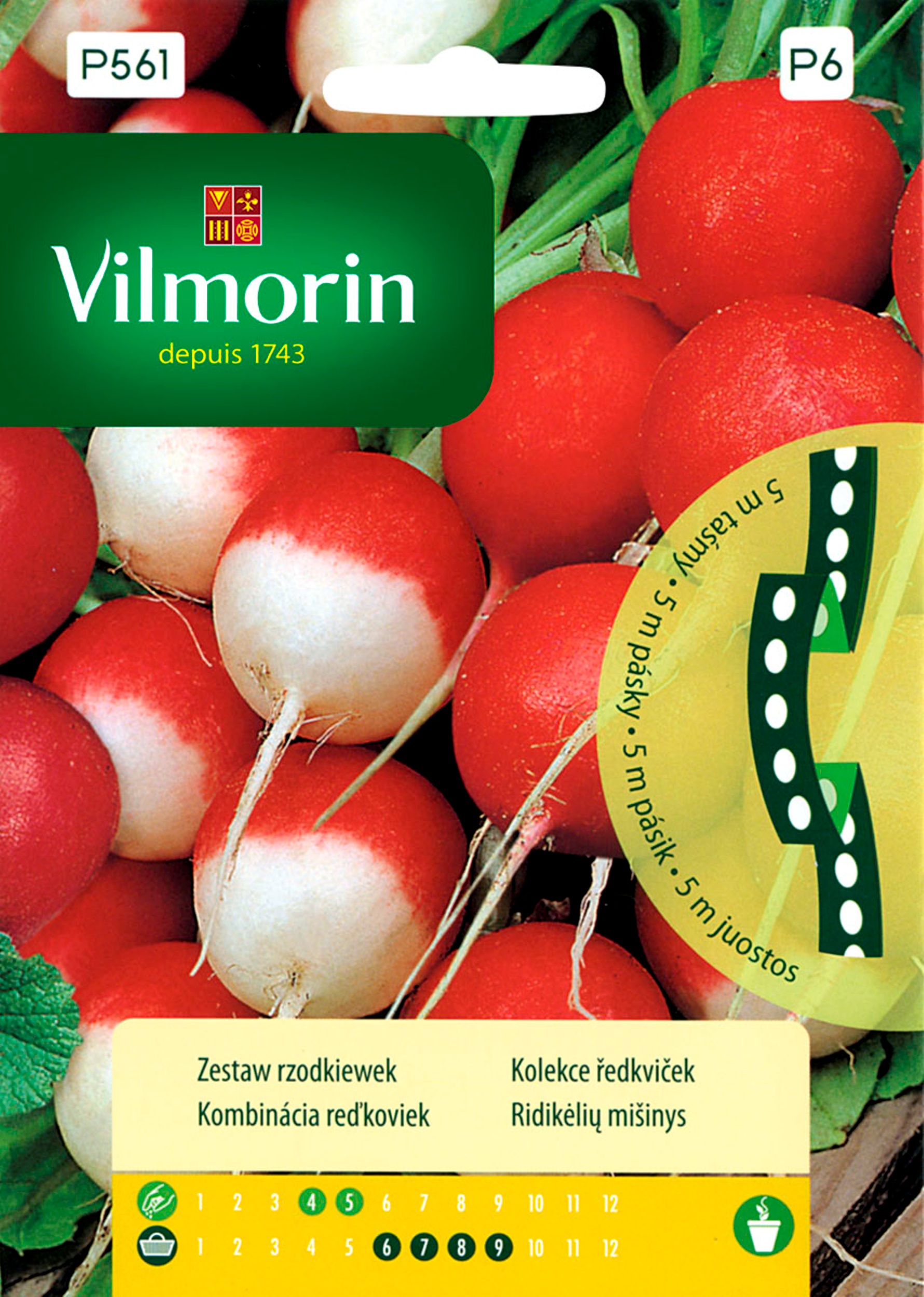 Zestaw rzodkiewek nasiona na taśmie 5m Vilmorin