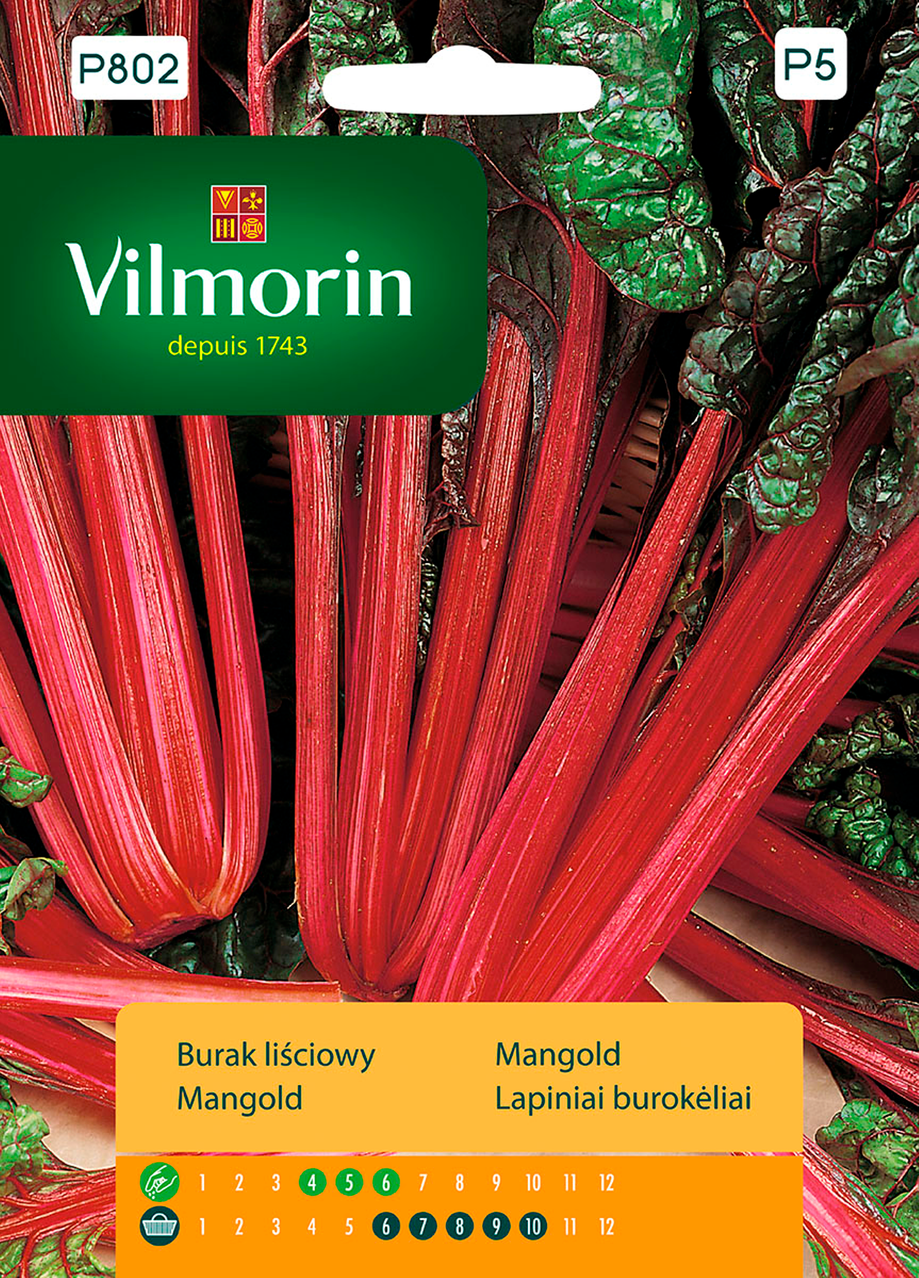 Burak liściowy Boćwina Rhubarb Chard nasiona 10g Vilmorin