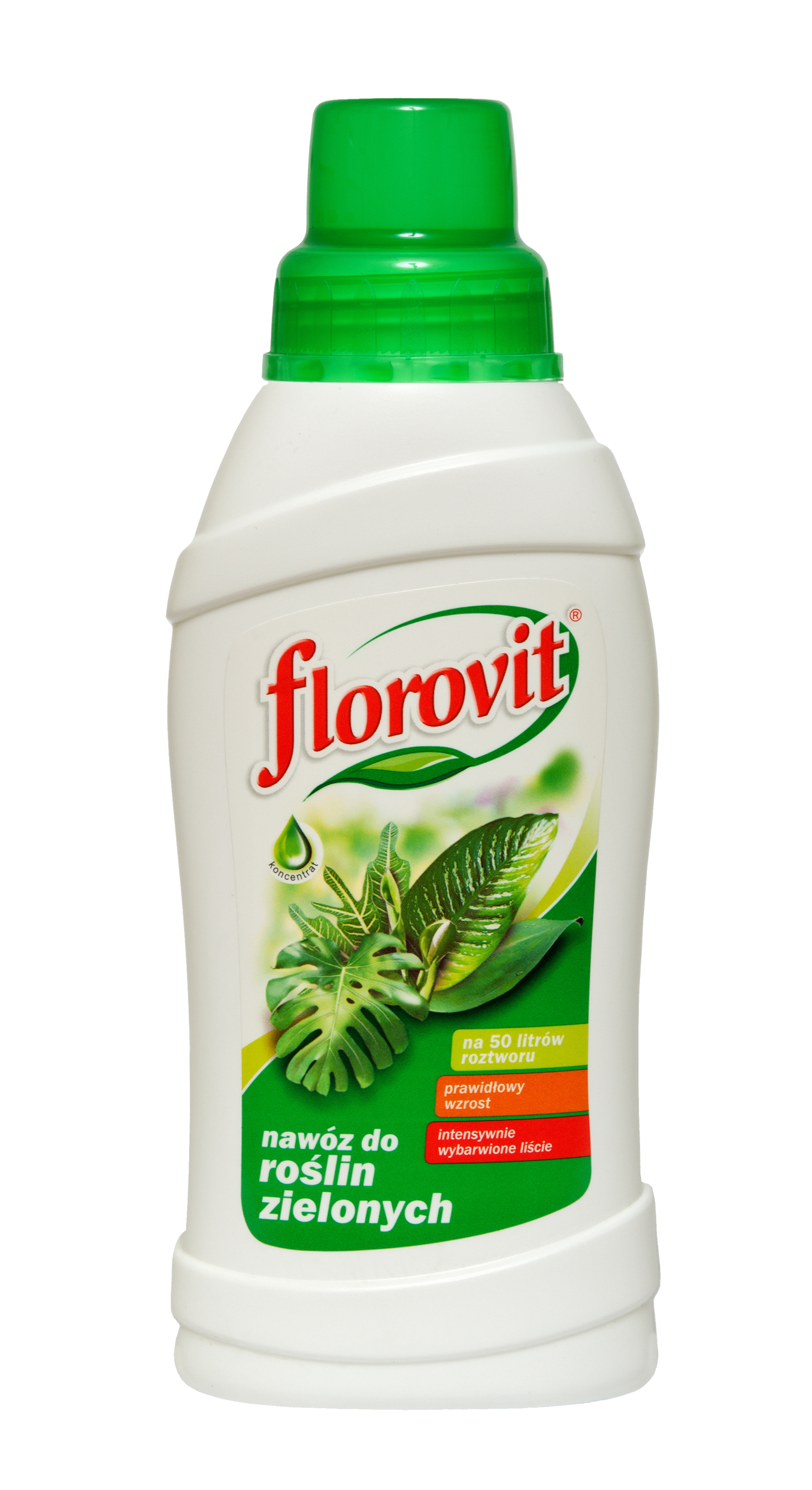 Nawóz do roślin zielonych 500ml Florovit